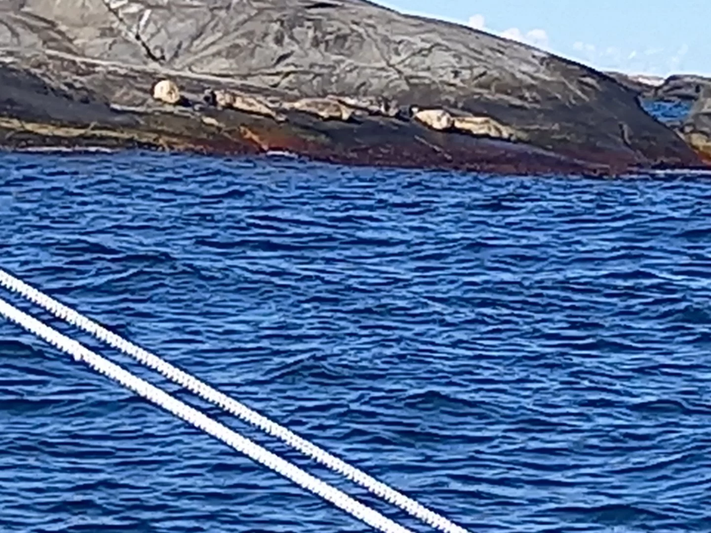 20210821_134006.jpg