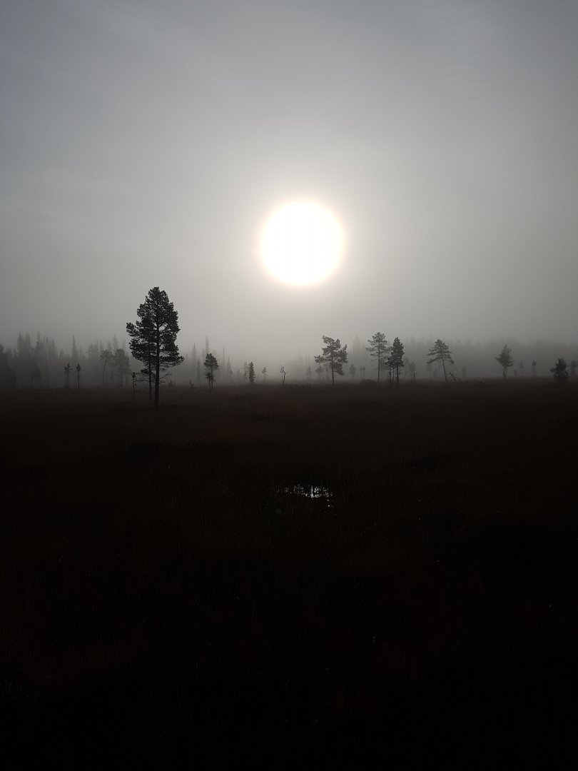 20210907_074550.jpg