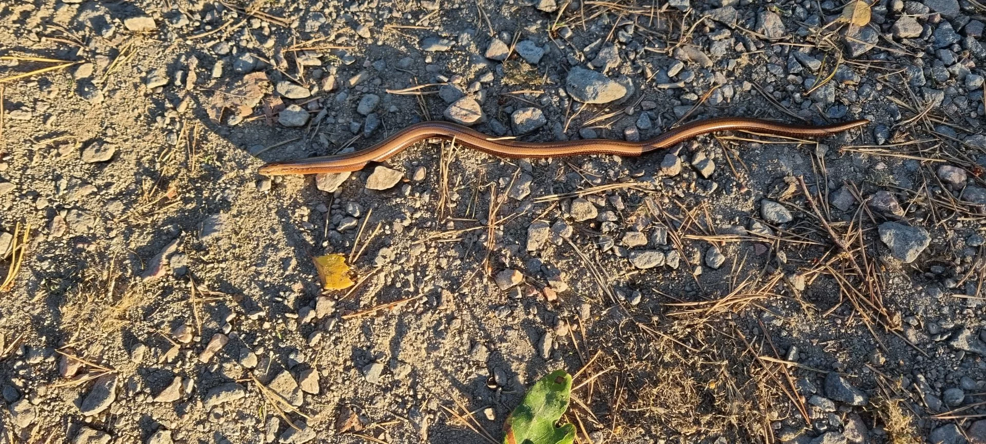 20210909_180815.jpg