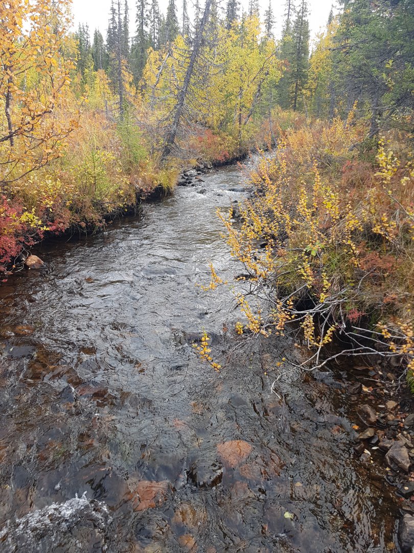 20210916_093911.jpg