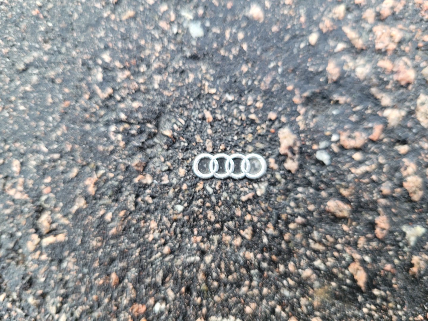 20211026_113251.jpg
