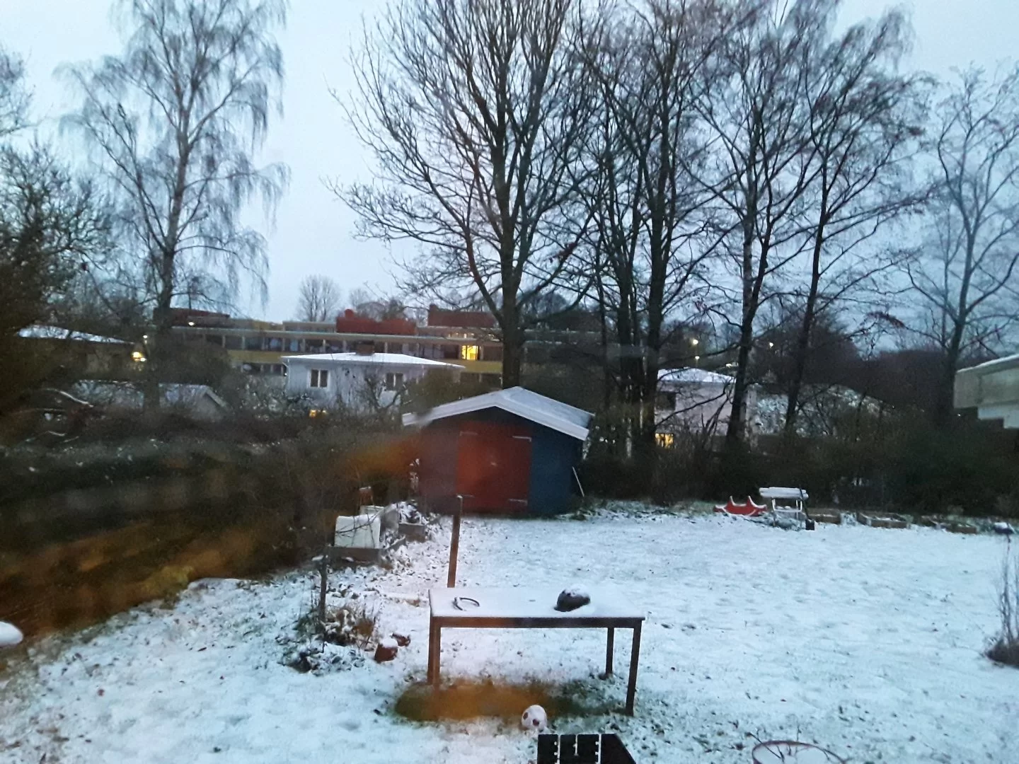 20211130_075522.jpg