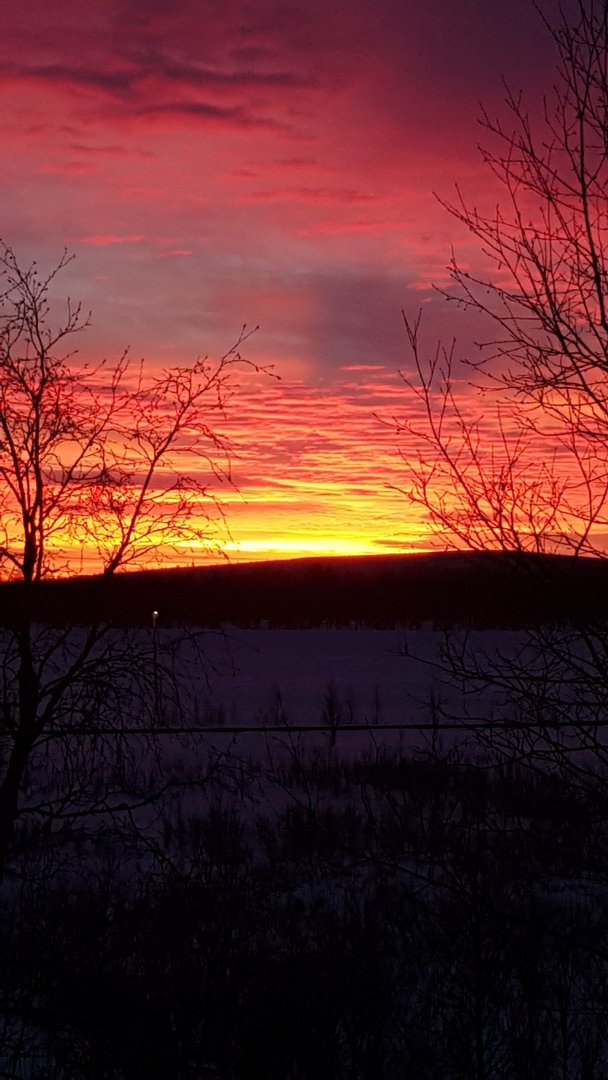 20211217_094914.jpg