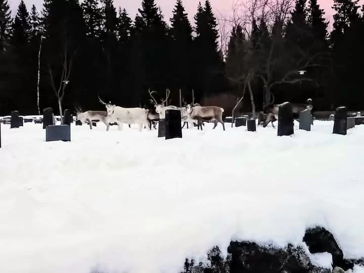 20211219_095618.jpg
