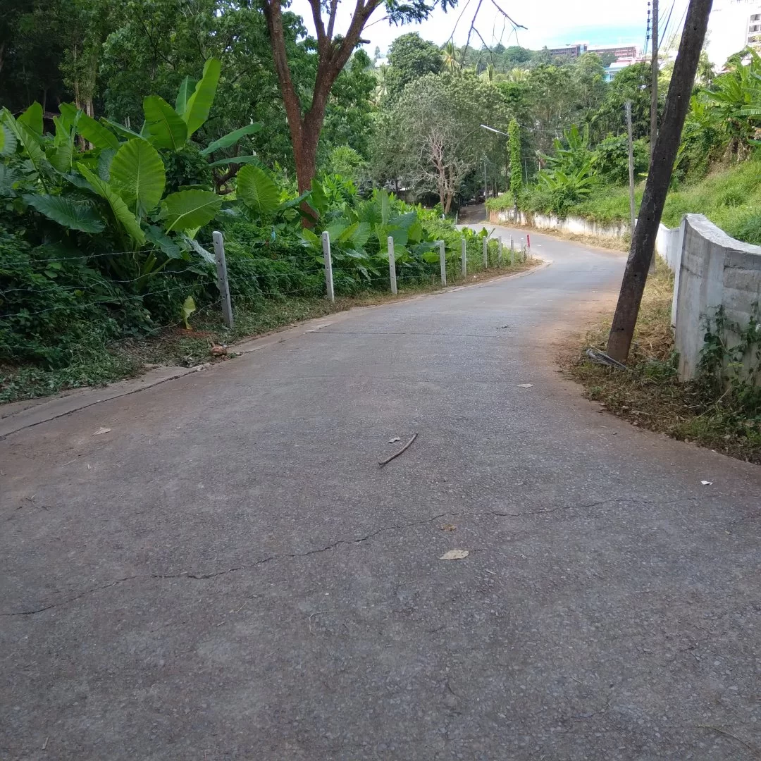 20211229_105331.webp