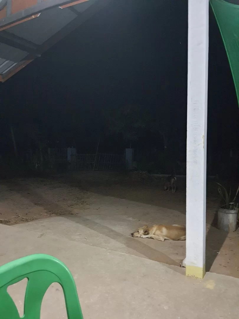 20211230_225033.webp