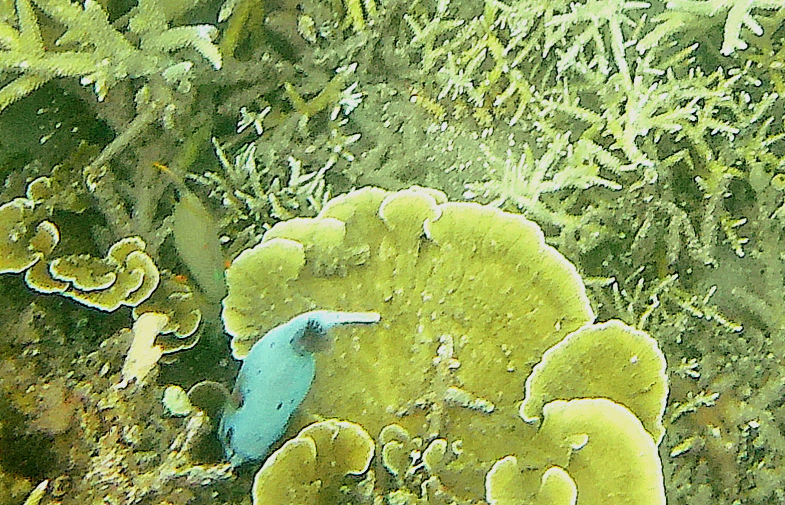 20220108_221504_02.JPG