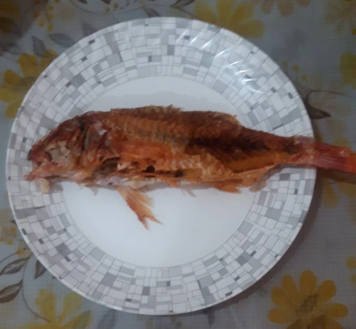 20220113_092933.webp