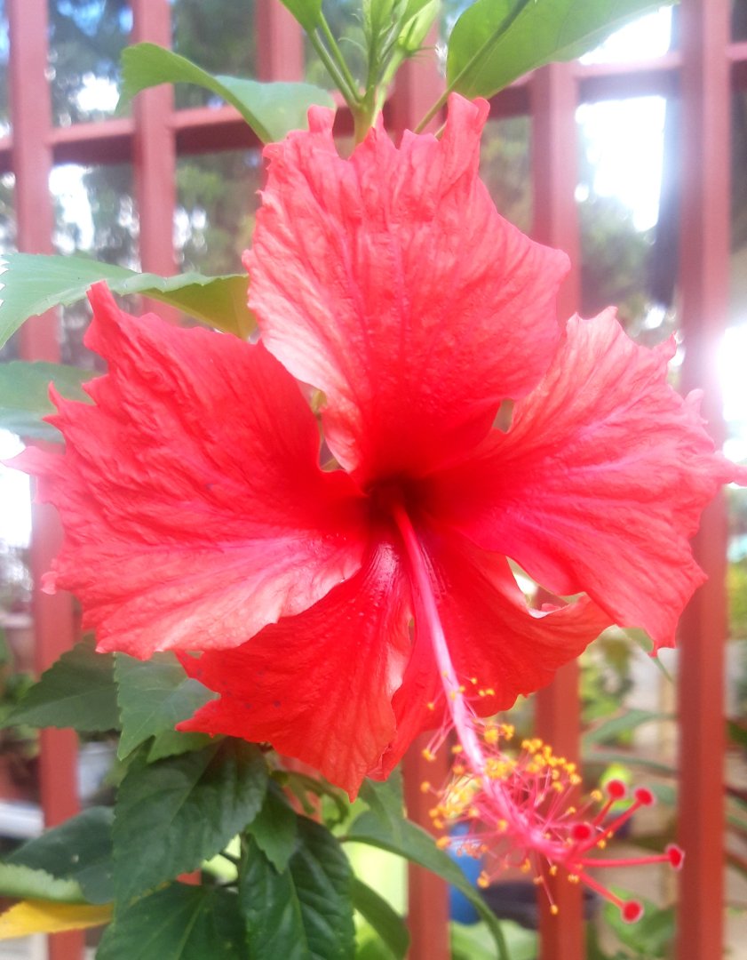 20220120_120313.jpg