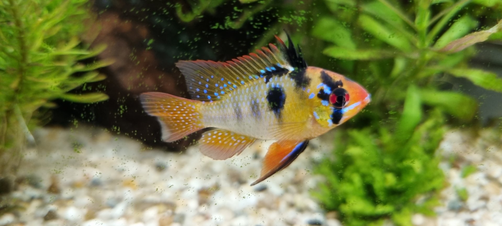 20220122_220238.jpg