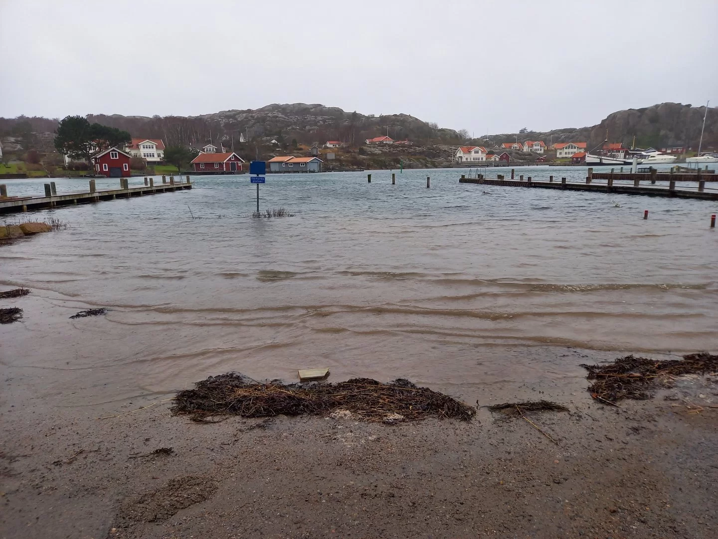 20220129_135453.jpg