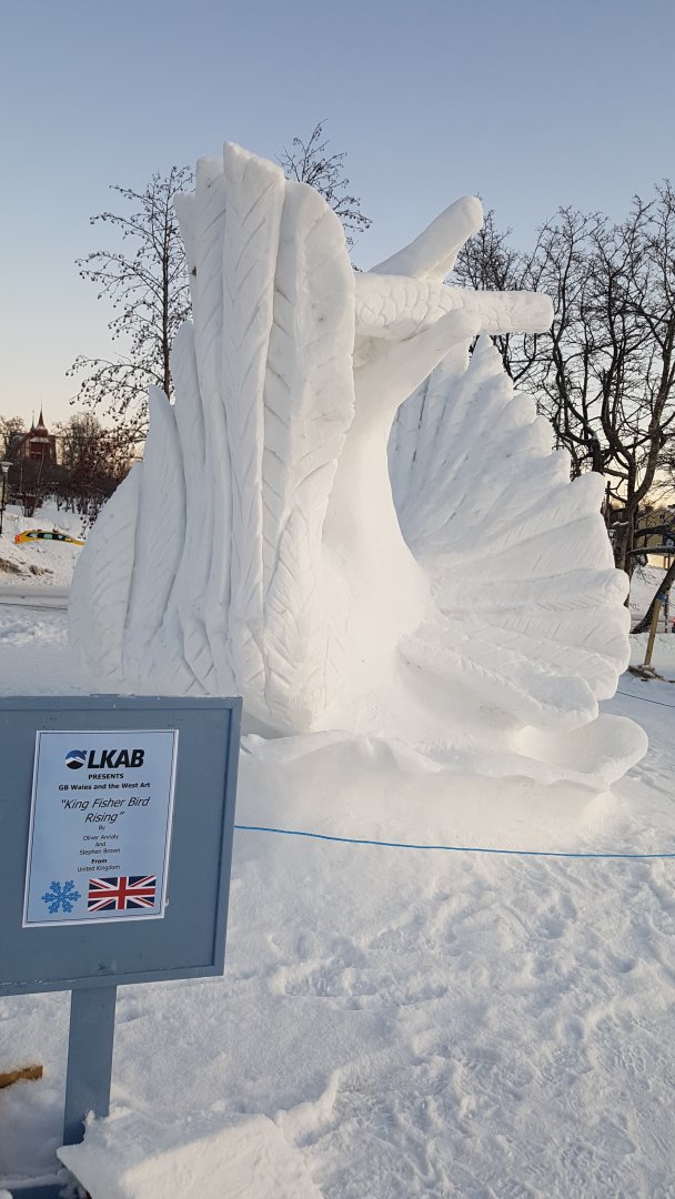 20220131_143815.jpg