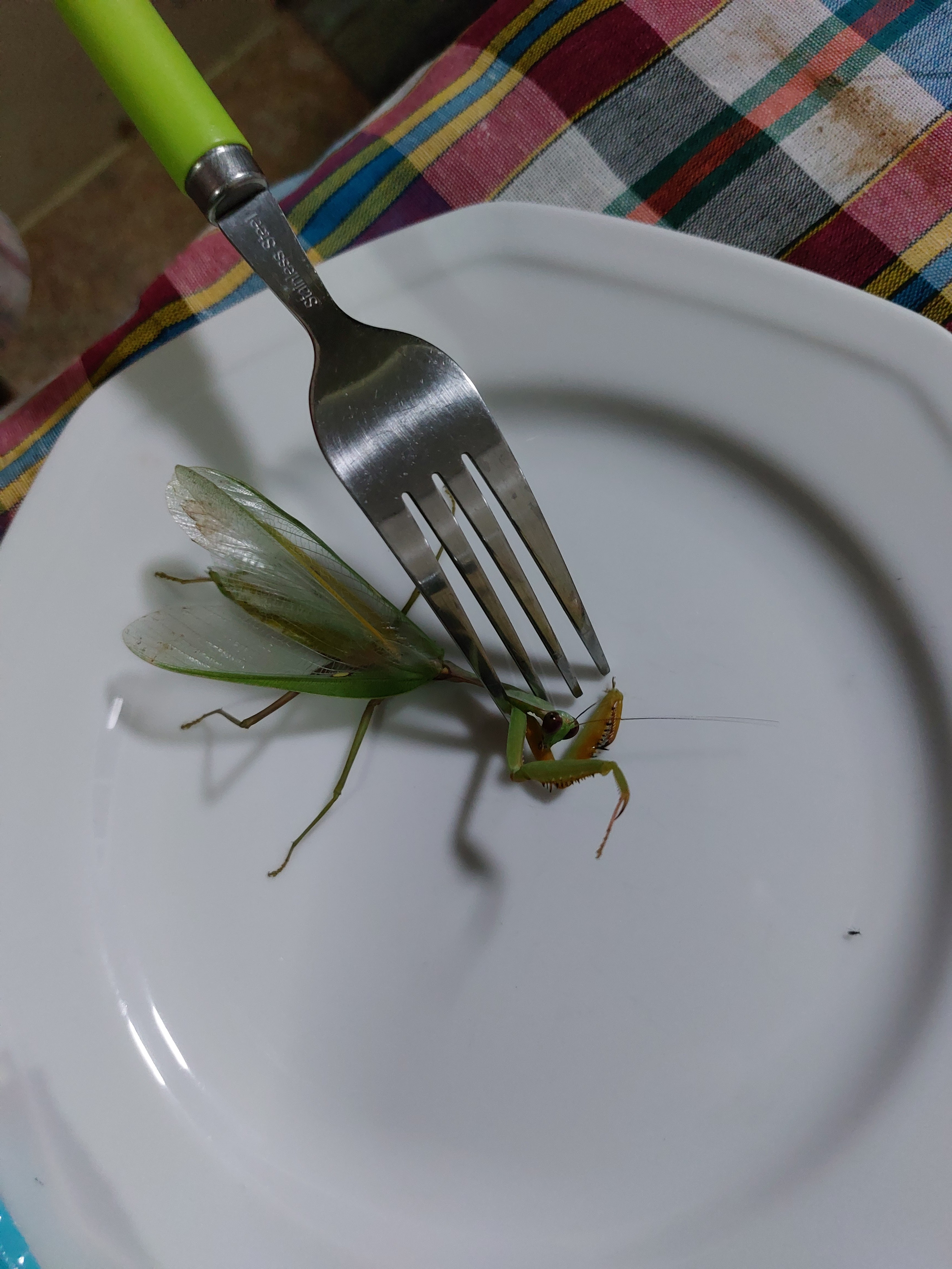 20220224_210133.jpg