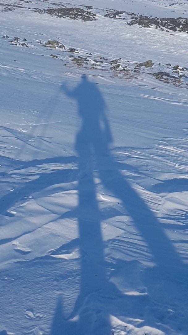 20220315_104243.jpg