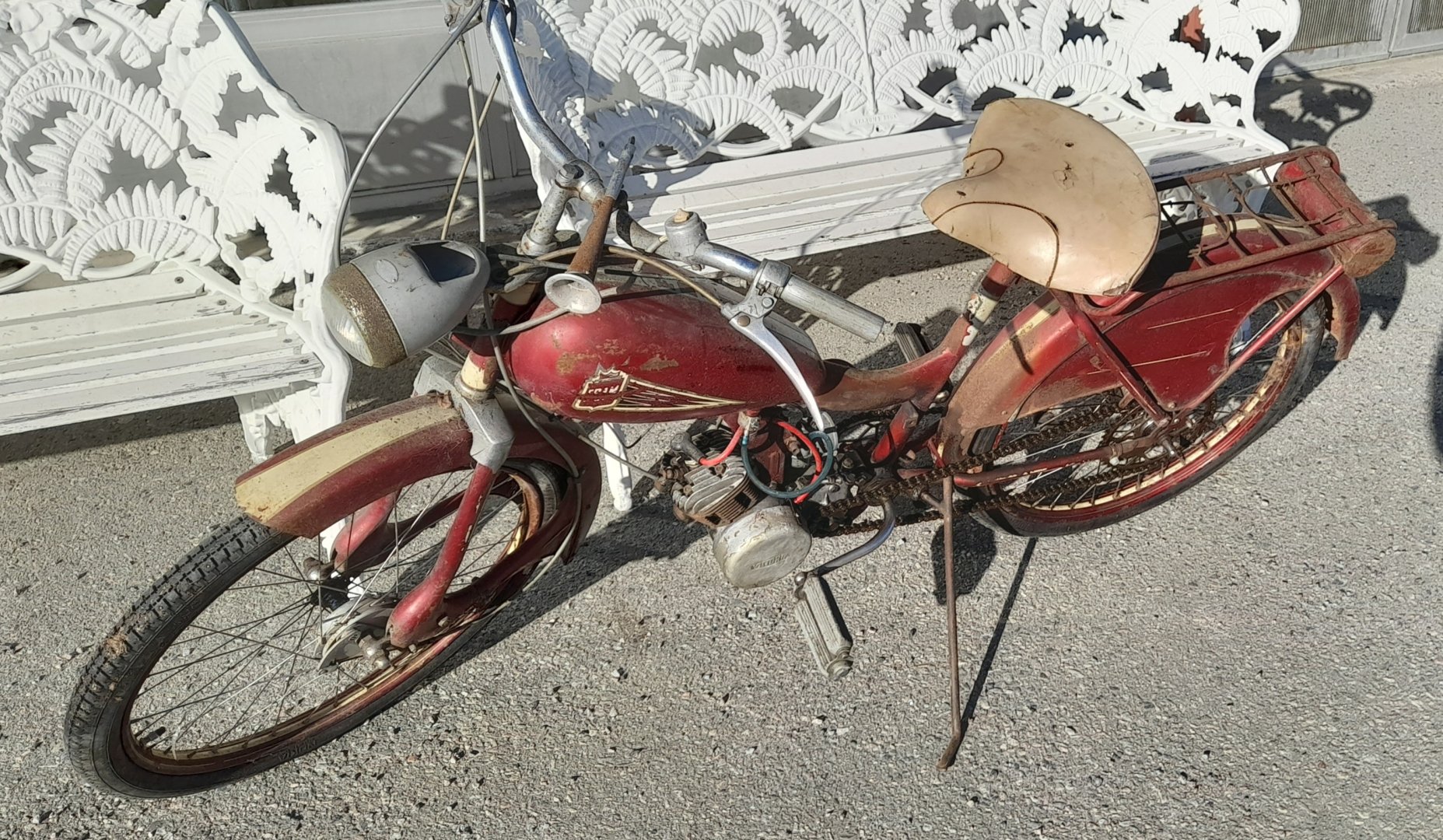 20220319_090603.jpg