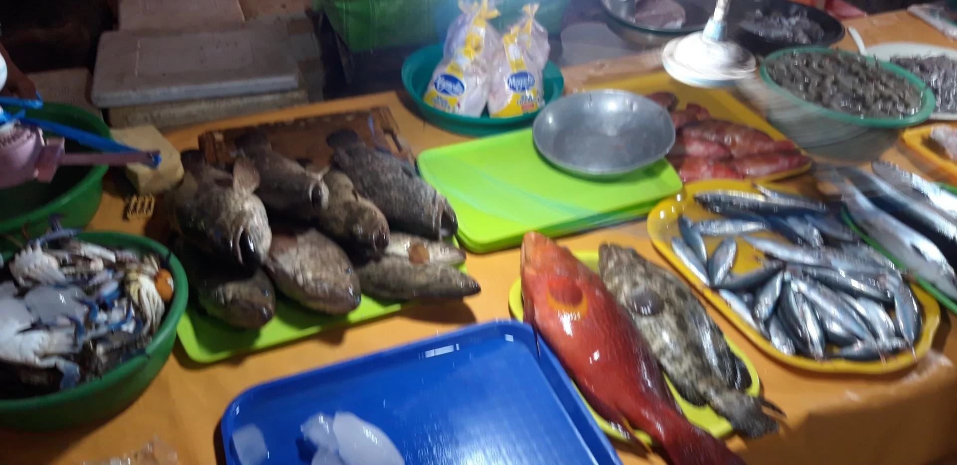 20220517_125308.webp