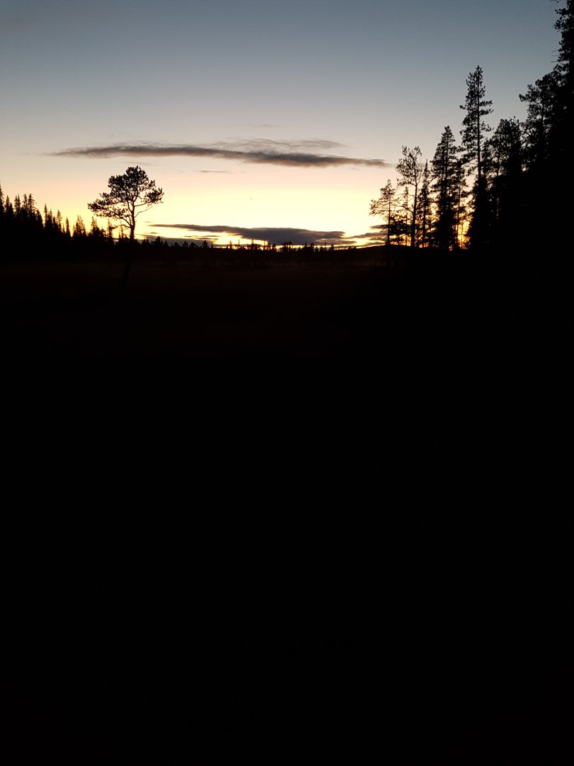 20220901_210142.jpg