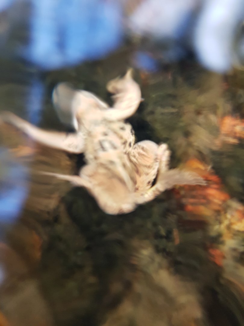 20220906_143410.jpg
