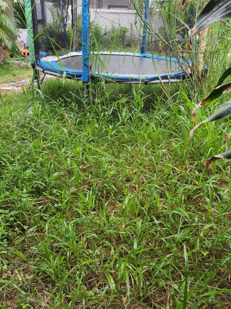 20220927_064901.webp