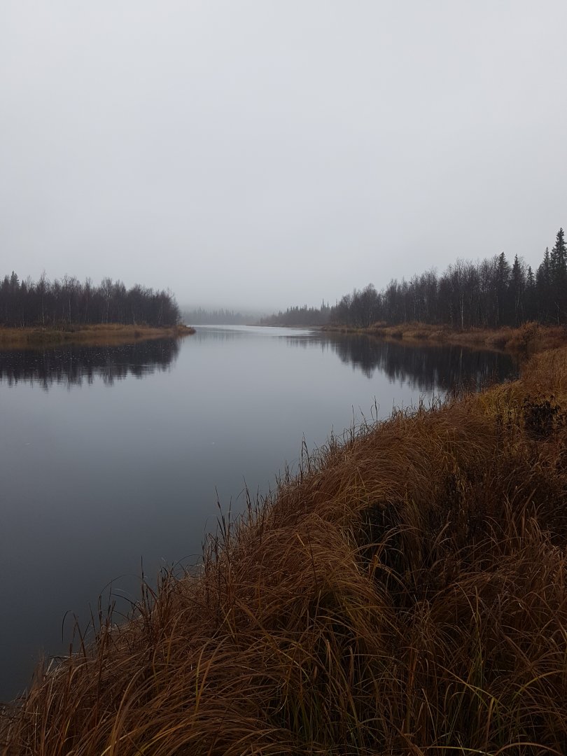 20220928_115415.jpg