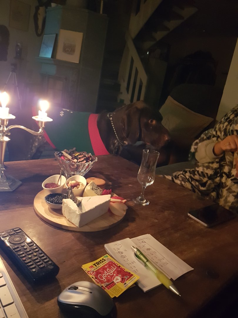 20221210_172056.jpg
