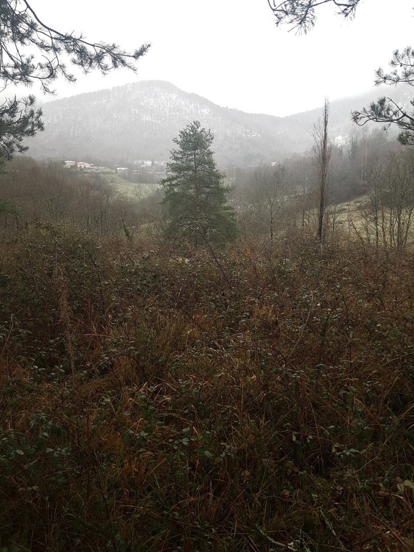 20230118_091526.jpg