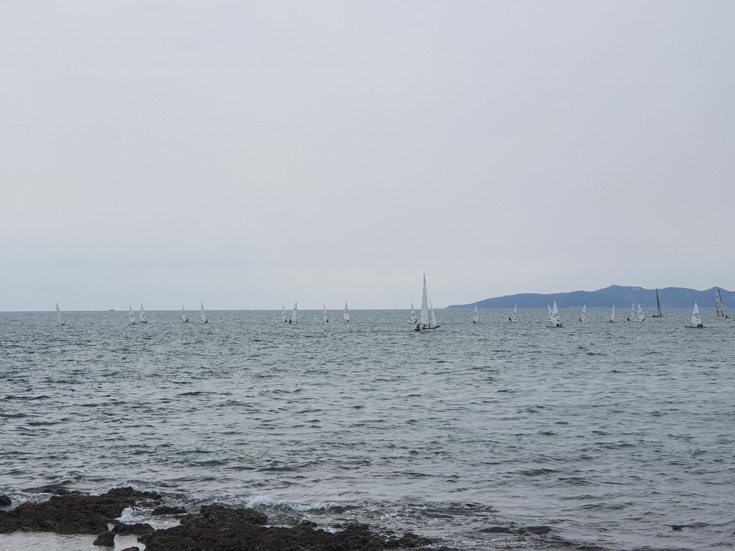 20230204_133713.jpg