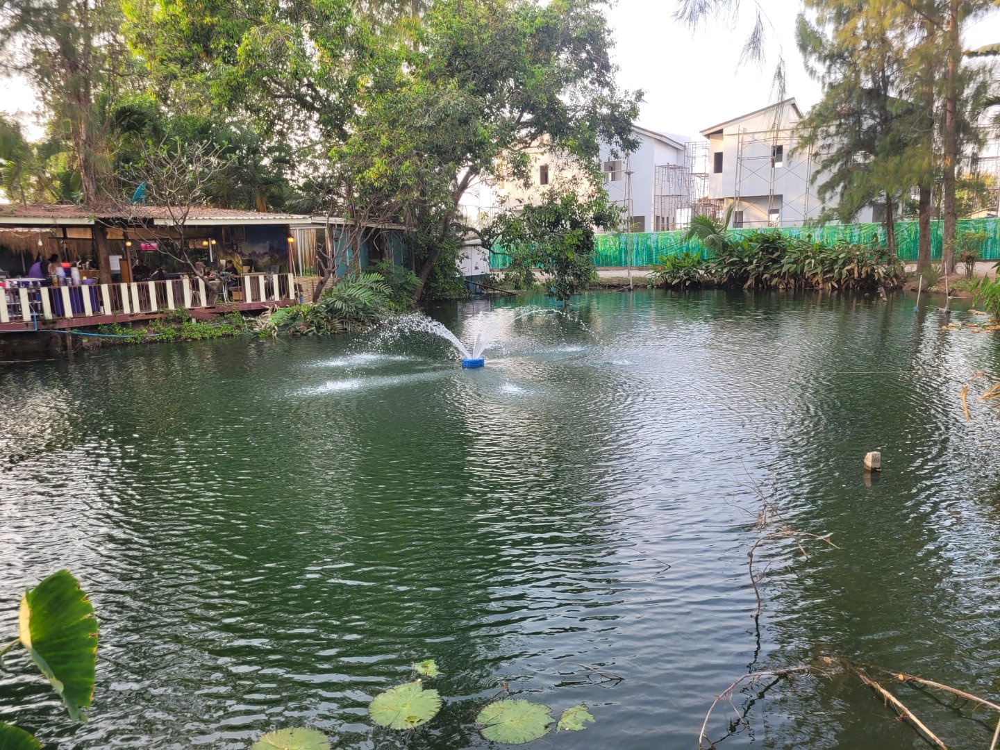 20230303_171712.jpg