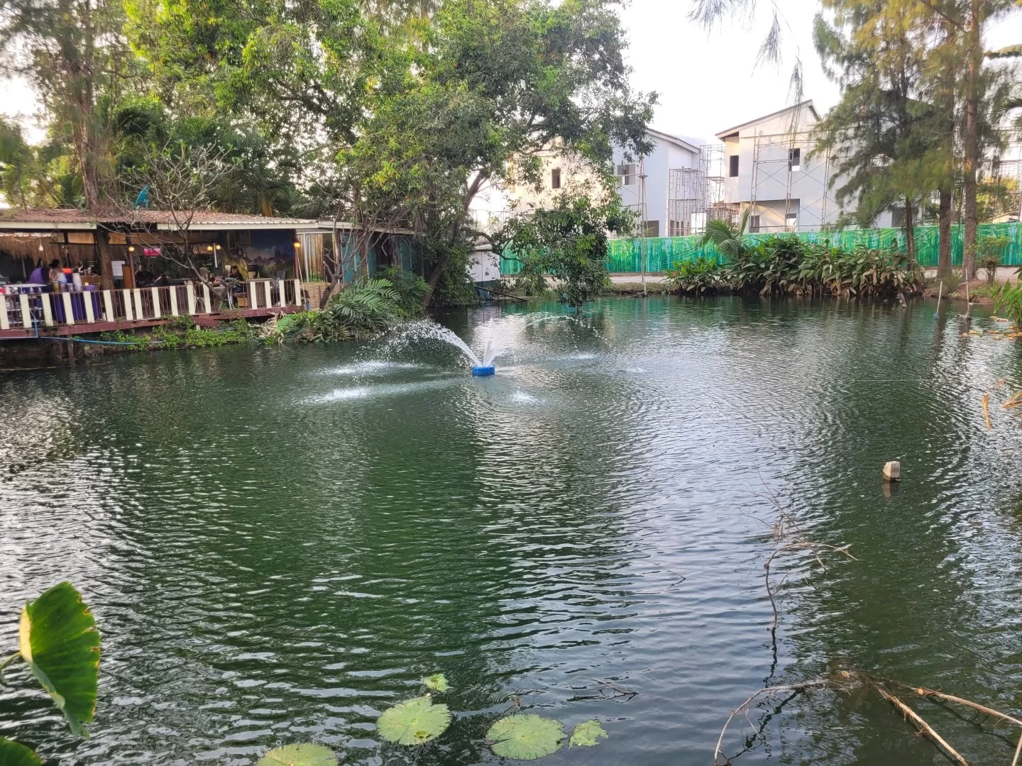 20230303_171712.webp