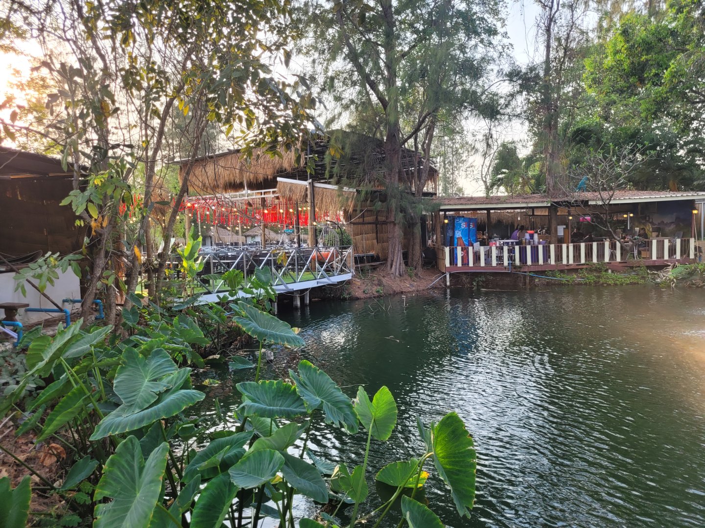 20230303_171718.jpg
