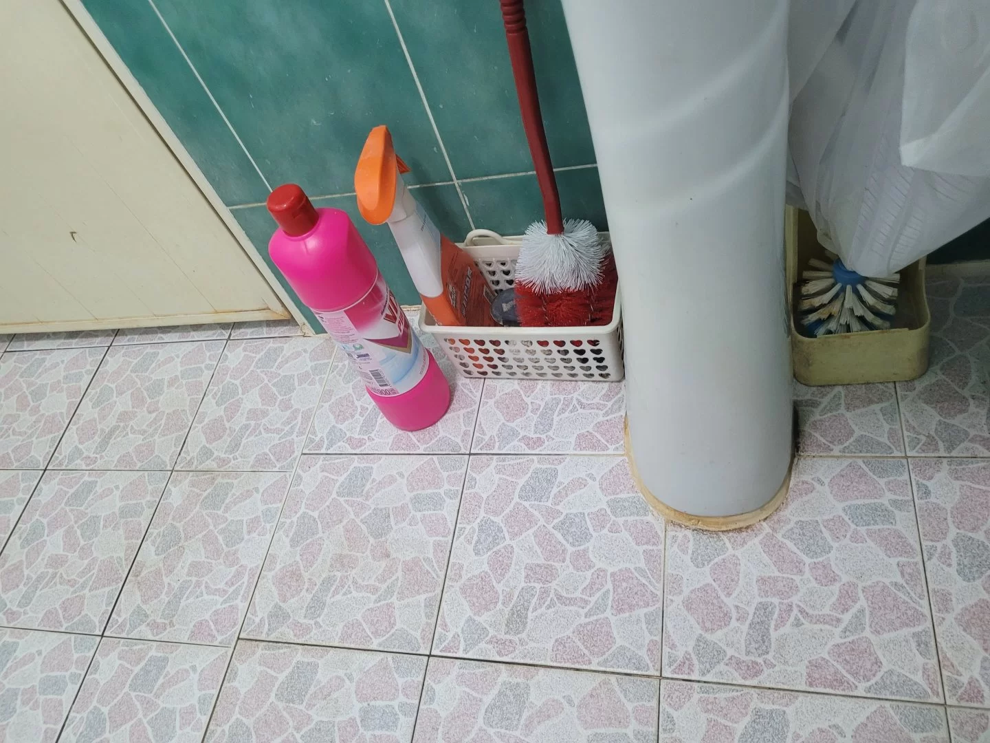 20230305_230024.webp