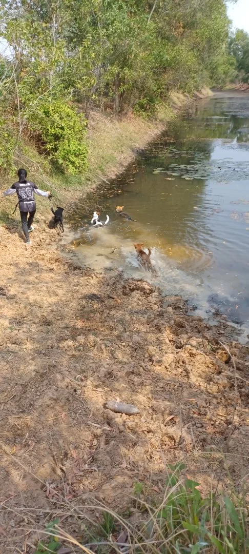 20230306_100335.webp