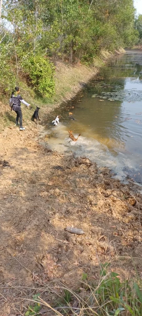 20230306_100336.webp