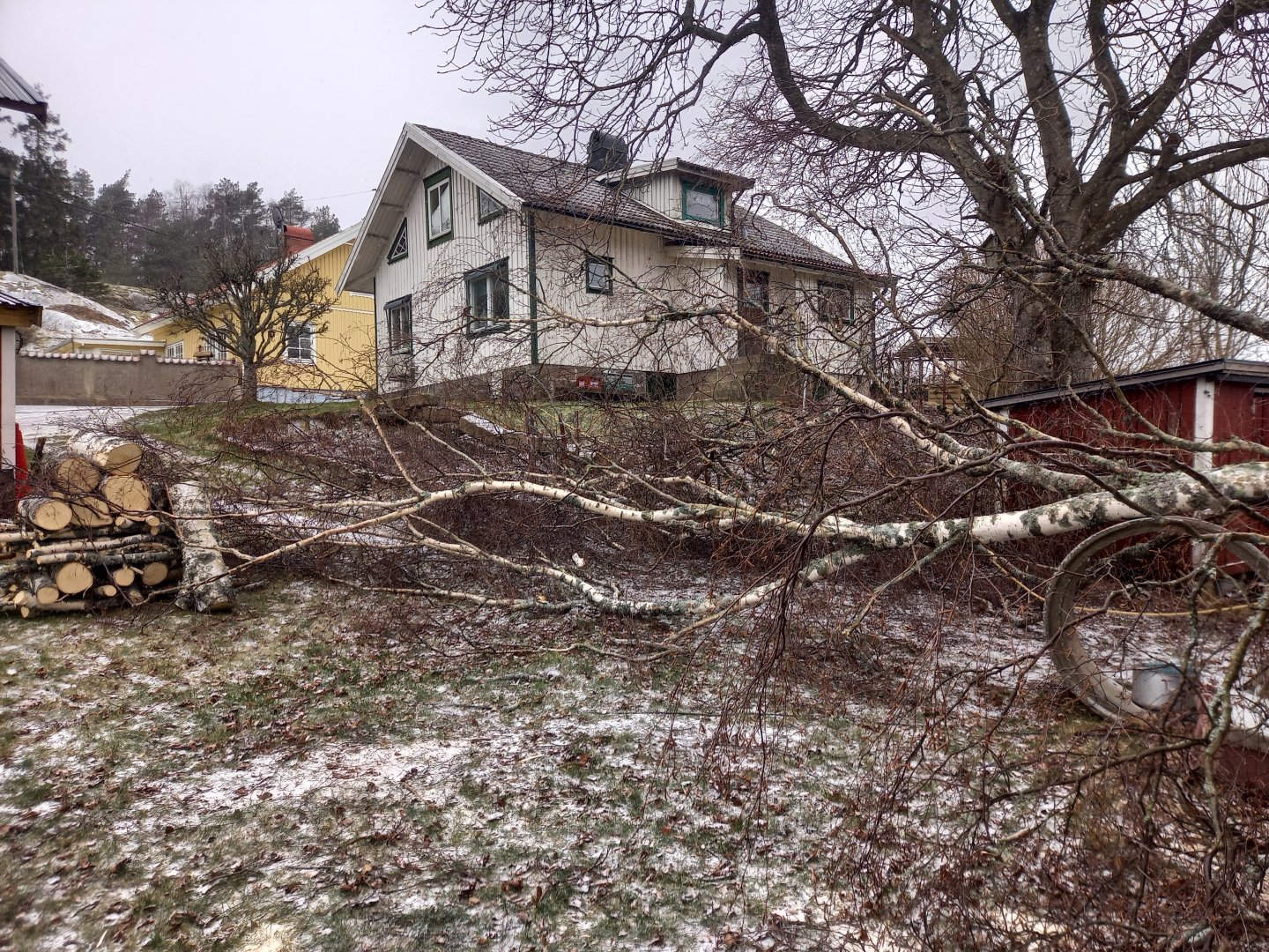 20230307_093839.jpg