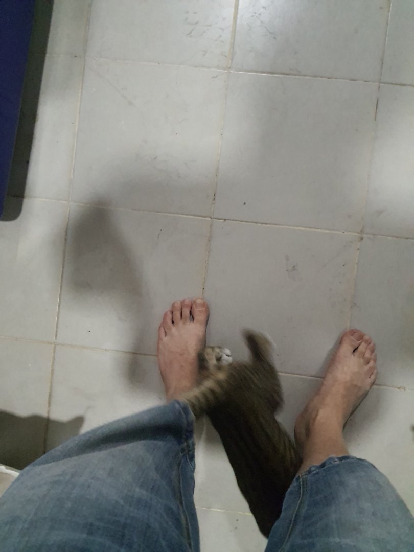 20230311_231346.jpg