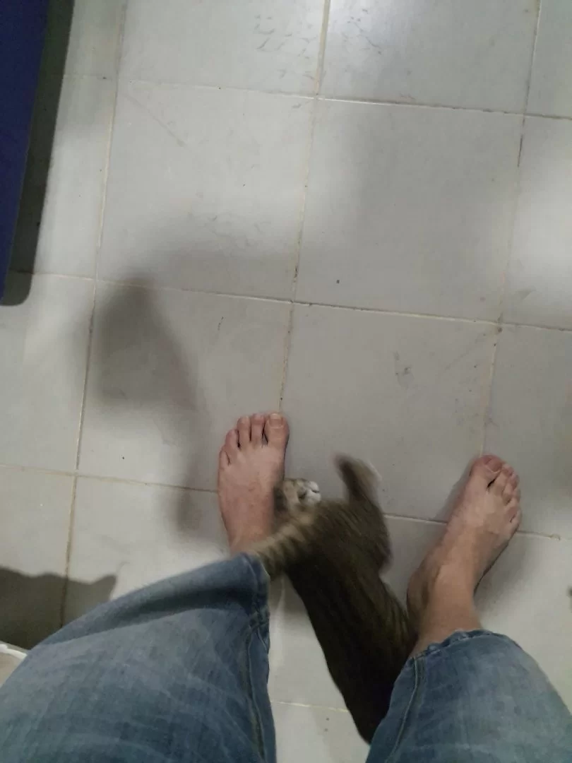 20230311_231346.webp
