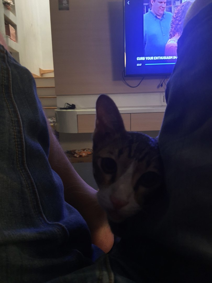 20230312_023947.jpg