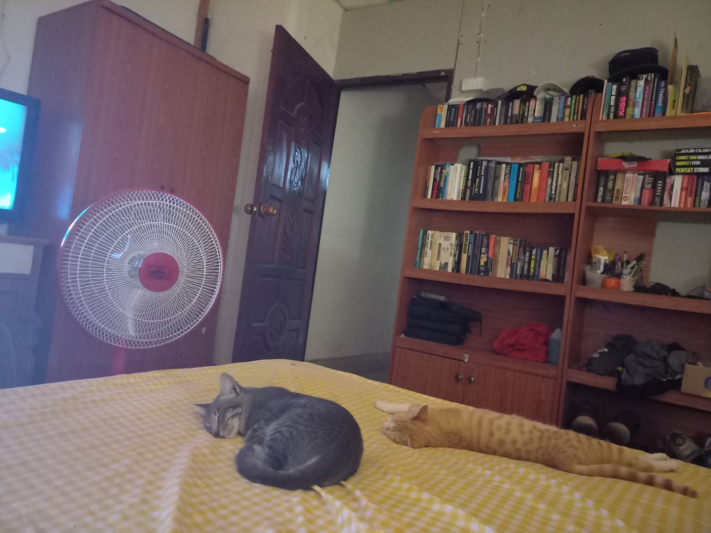 20230321_042909.jpg