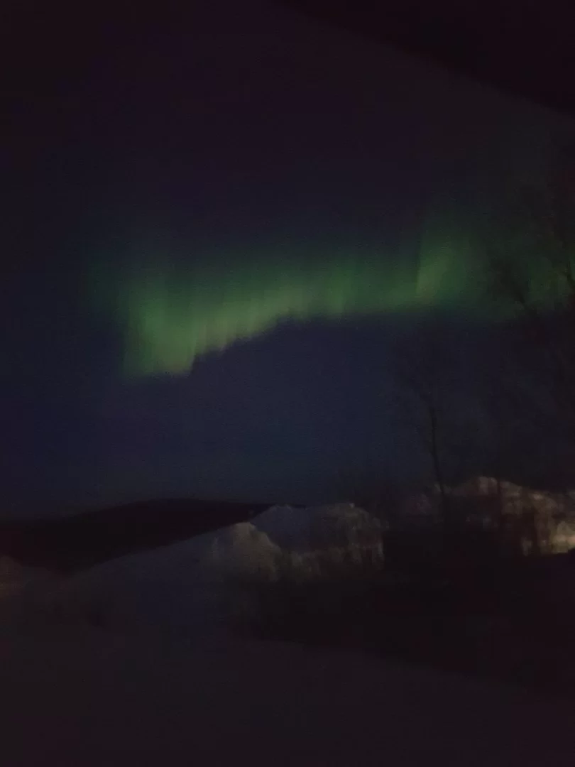 20230323_195134.webp