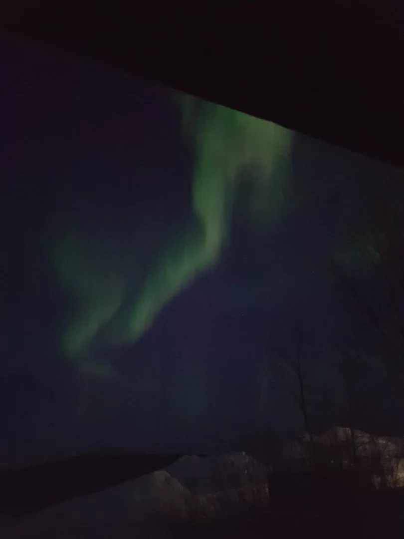 20230323_195213.webp