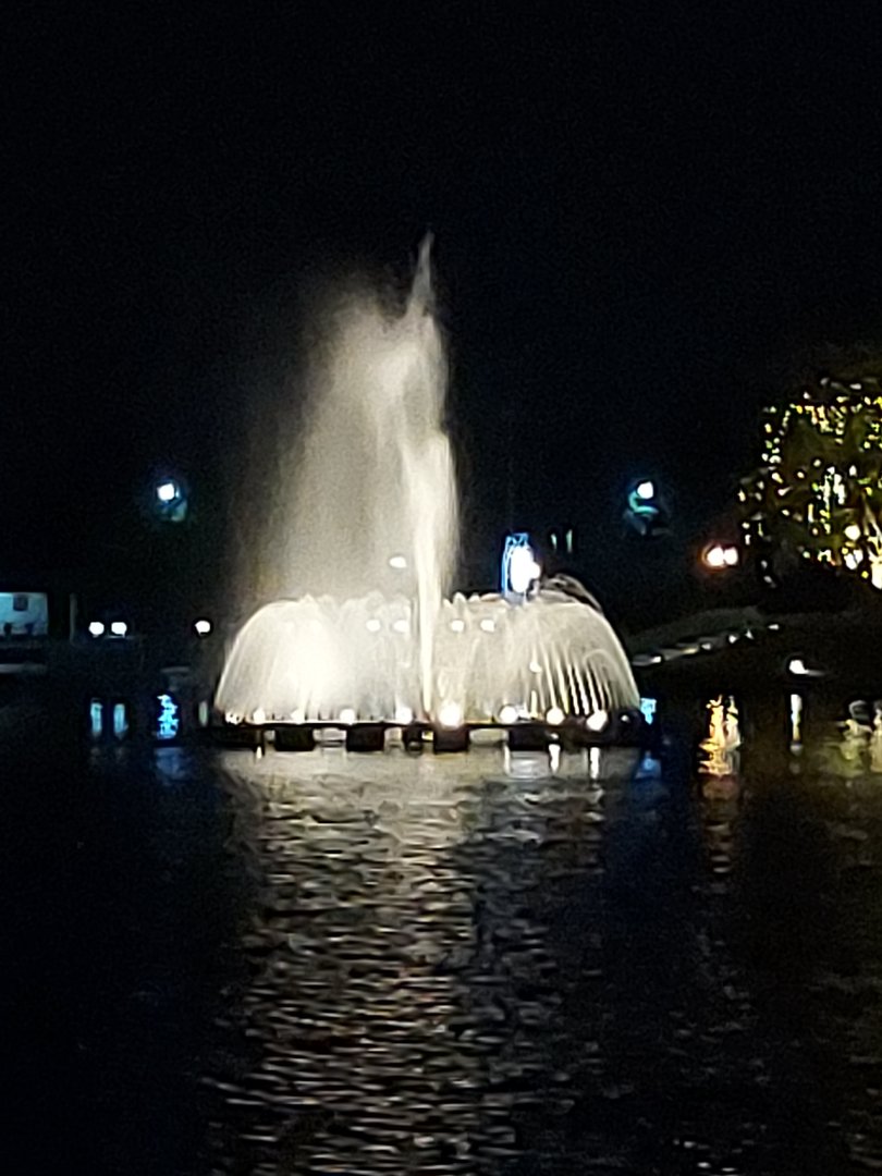 20230403_191737.jpg