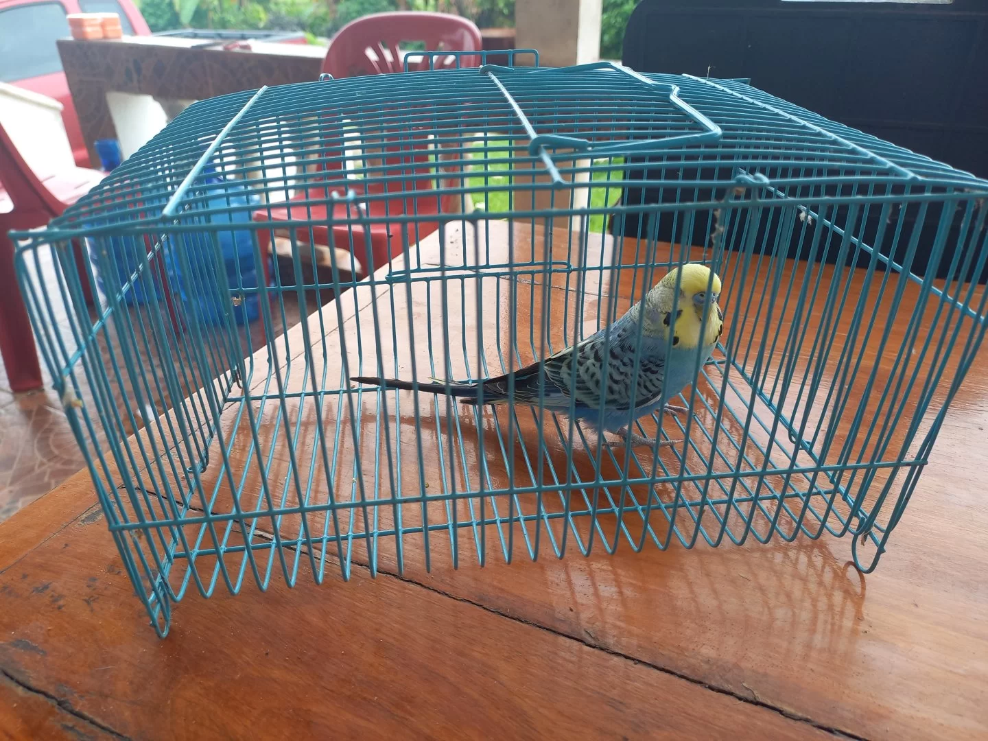 20230610_100808.webp