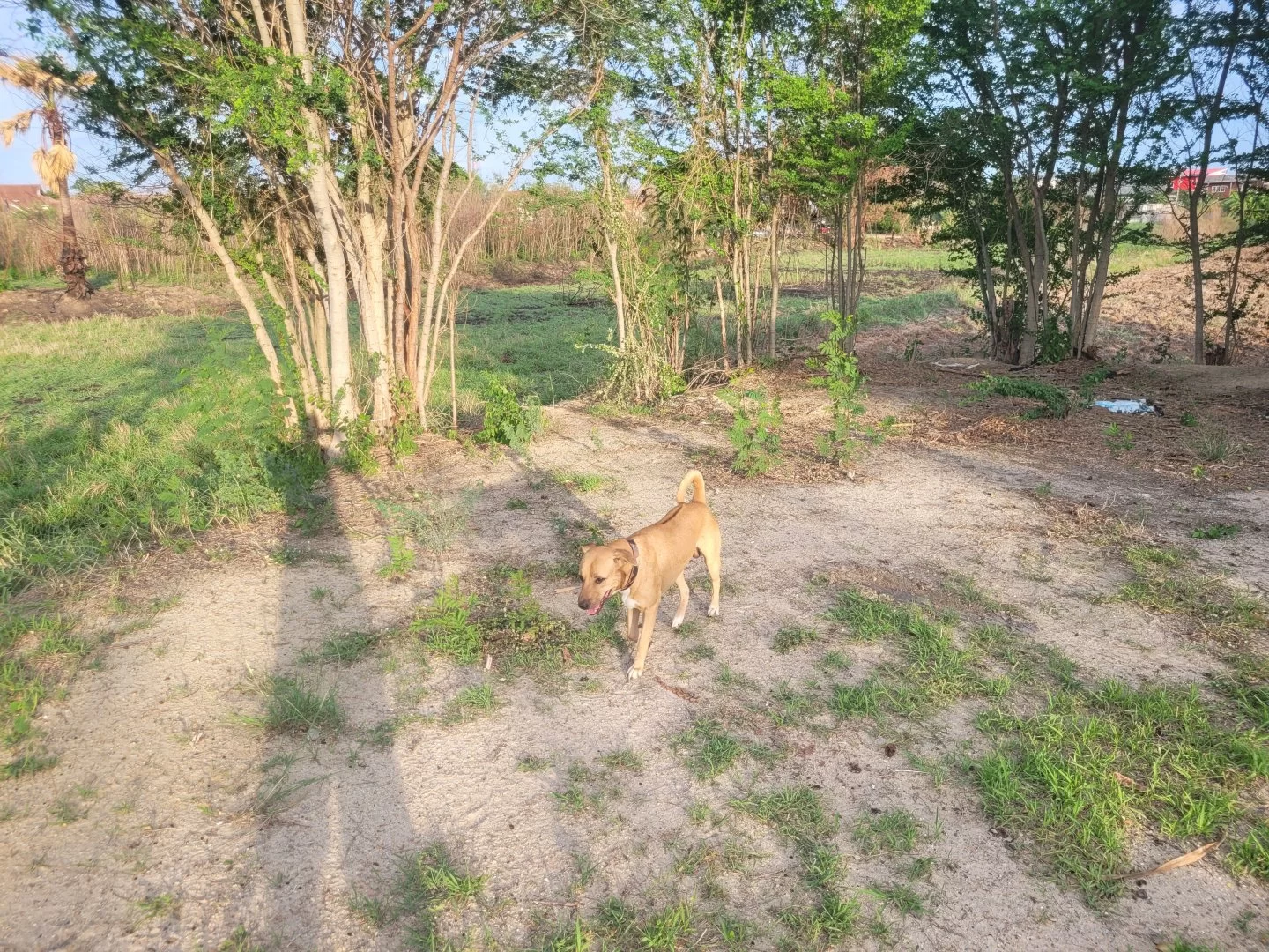 20230611_175039.webp