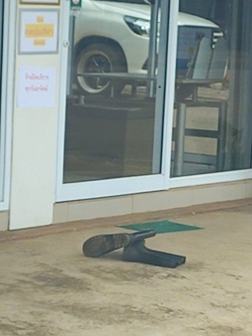 20230614_113313.jpg