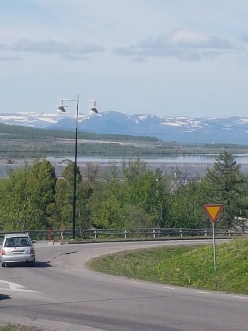20230616_132713.jpg