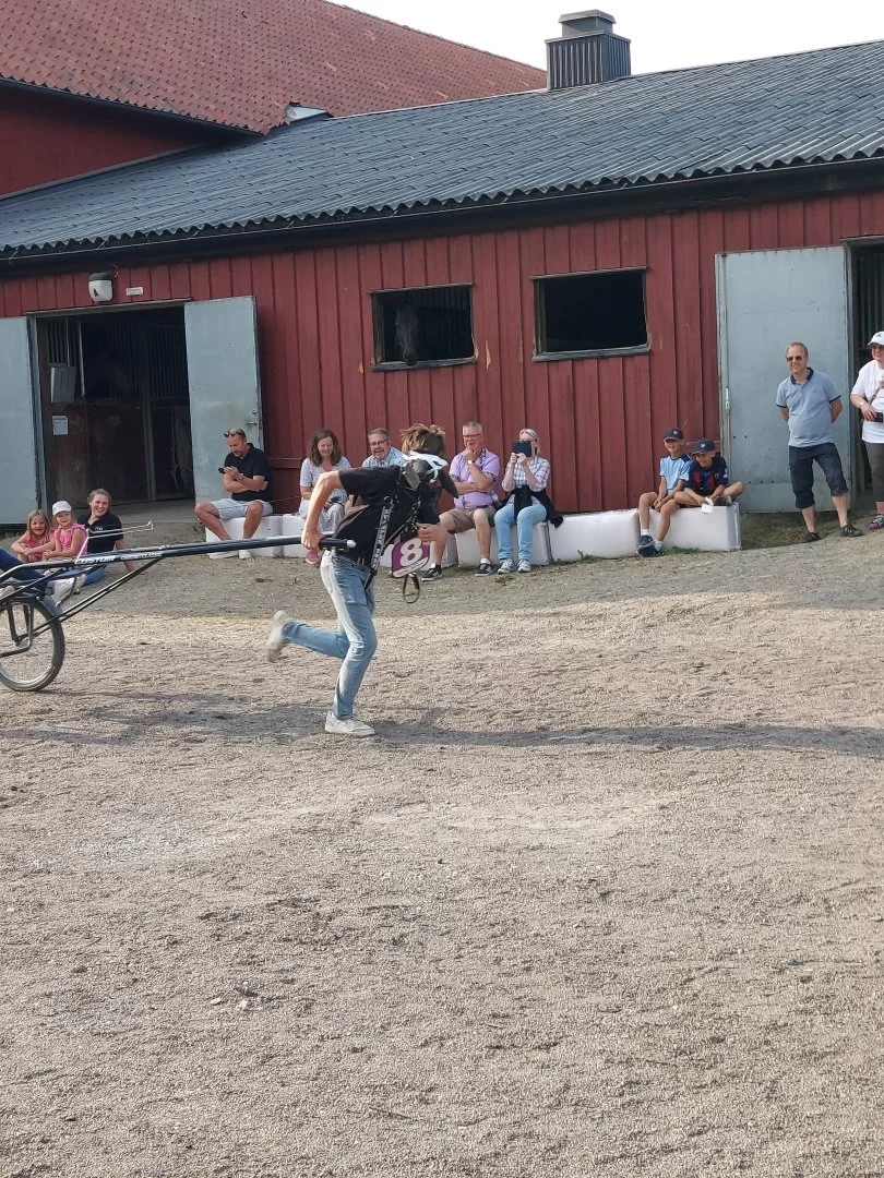 20230616_181747.webp