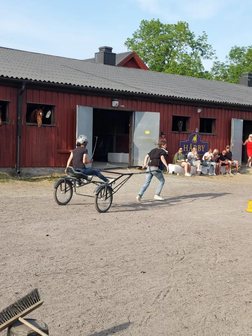 20230616_181751.webp