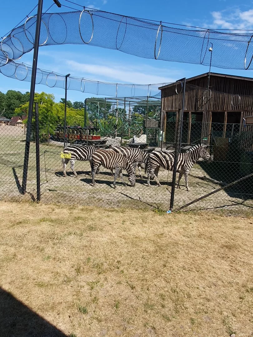20230626_153917.webp