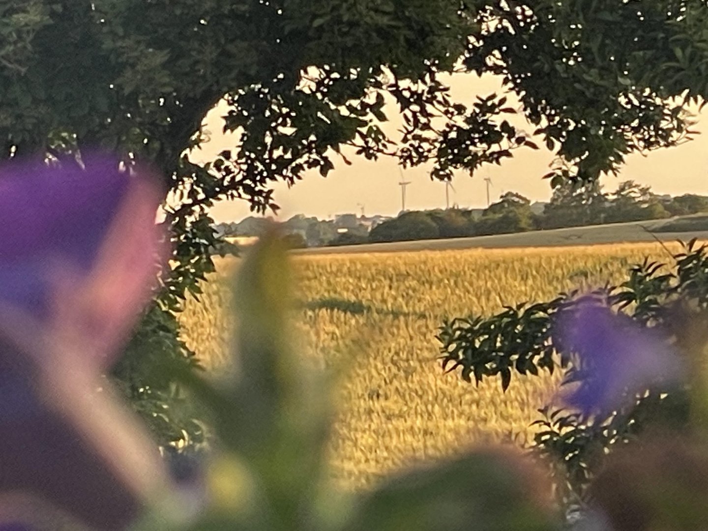 20230707-1.jpg