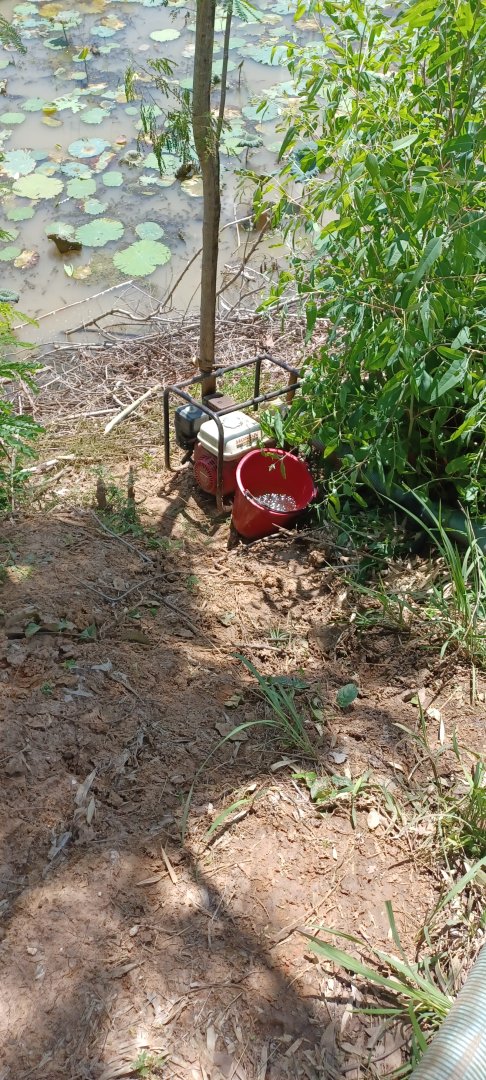 20230707_135715.jpg